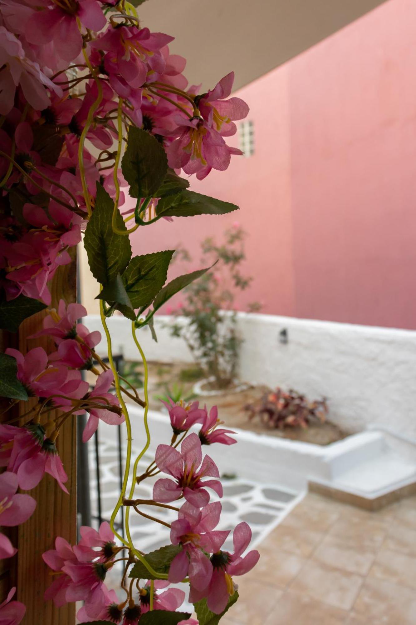 Tree Haven - Near Kourenti With 100mbps Wi-fi *